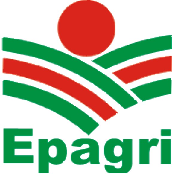 Image module