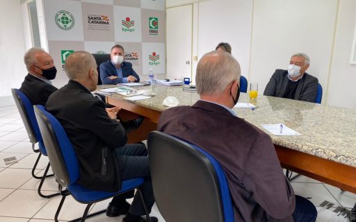 Agronegócio catarinense busca alternativas para o abastecimento de milho