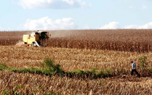 Agricultura inicia distribuição de calcário para aumentar a produtividade das lavouras