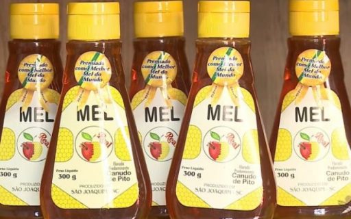 Planta nativa da região de São Joaquim, canudo-de-pito produz um dos melhores méis do mundo