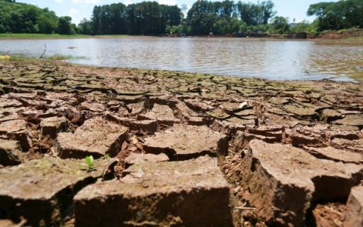 Ministra da Agricultura visitará Santa Catarina para avaliar os impactos da estiagem no meio rural