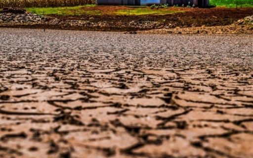Estiagem em SC: prejuízo na agricultura é superior a R$ 3,7 bilhões