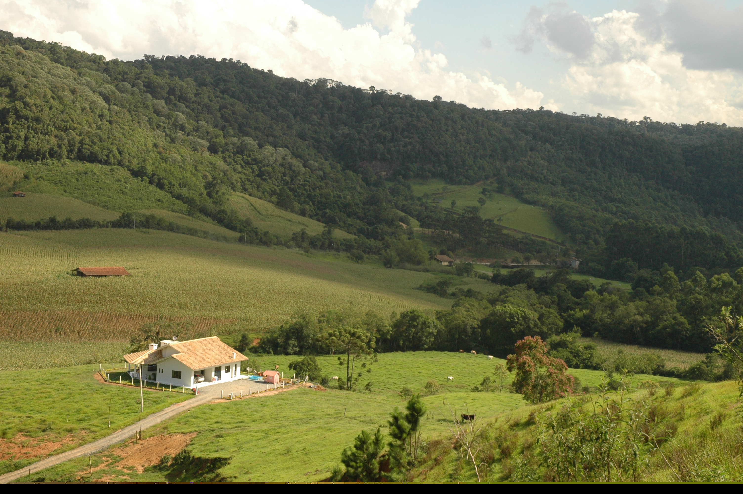 Avanço na captação de US$ 150 milhões: SC Rural 2 é aprovado pela Comissão de Financiamentos Externos