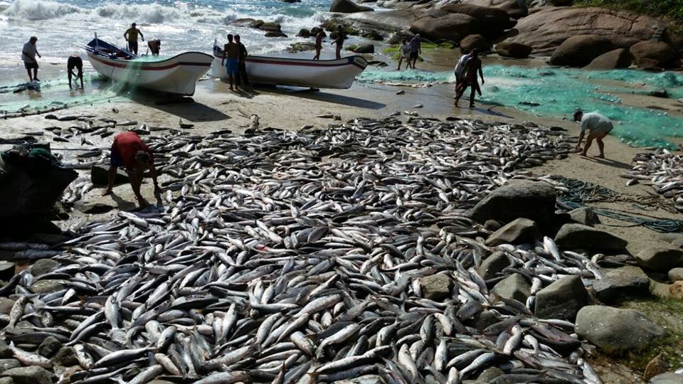 Projeto Especial Emergencial Pesca