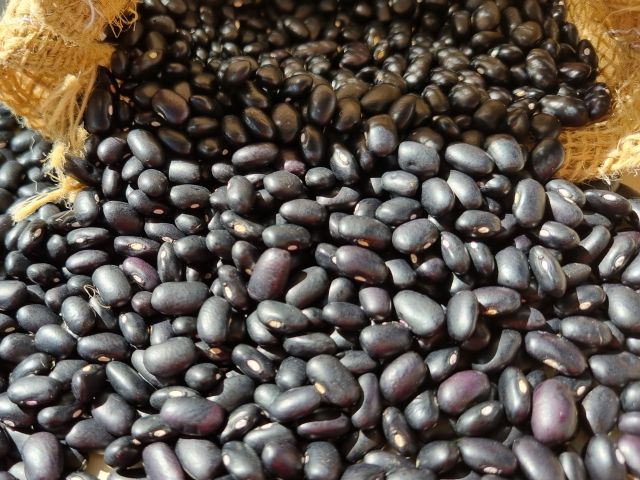 Safra de verão em SC: Epagri/Cepa estima aumento na produção das principais culturas agrícolas