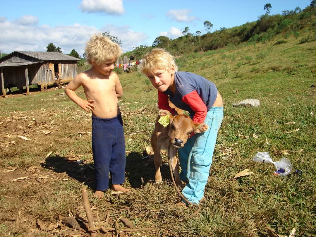 Santa Catarina celebra 17 anos de pioneirismo em identificação individual de bovinos e bubalinos