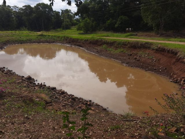 Estiagem em SC: veja como estão as culturas a campo e a previsão do tempo para o próximo trimestre