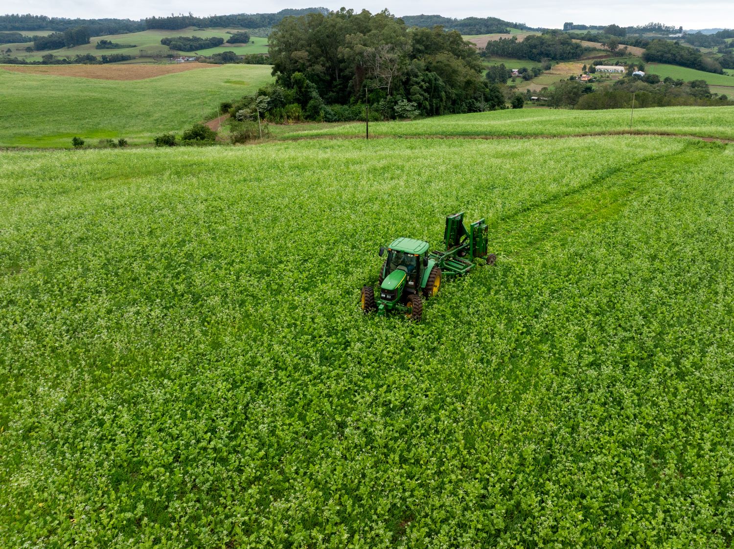 Santa Catarina investe em agricultura sustentável com distribuição de kits para cobertura vegetal