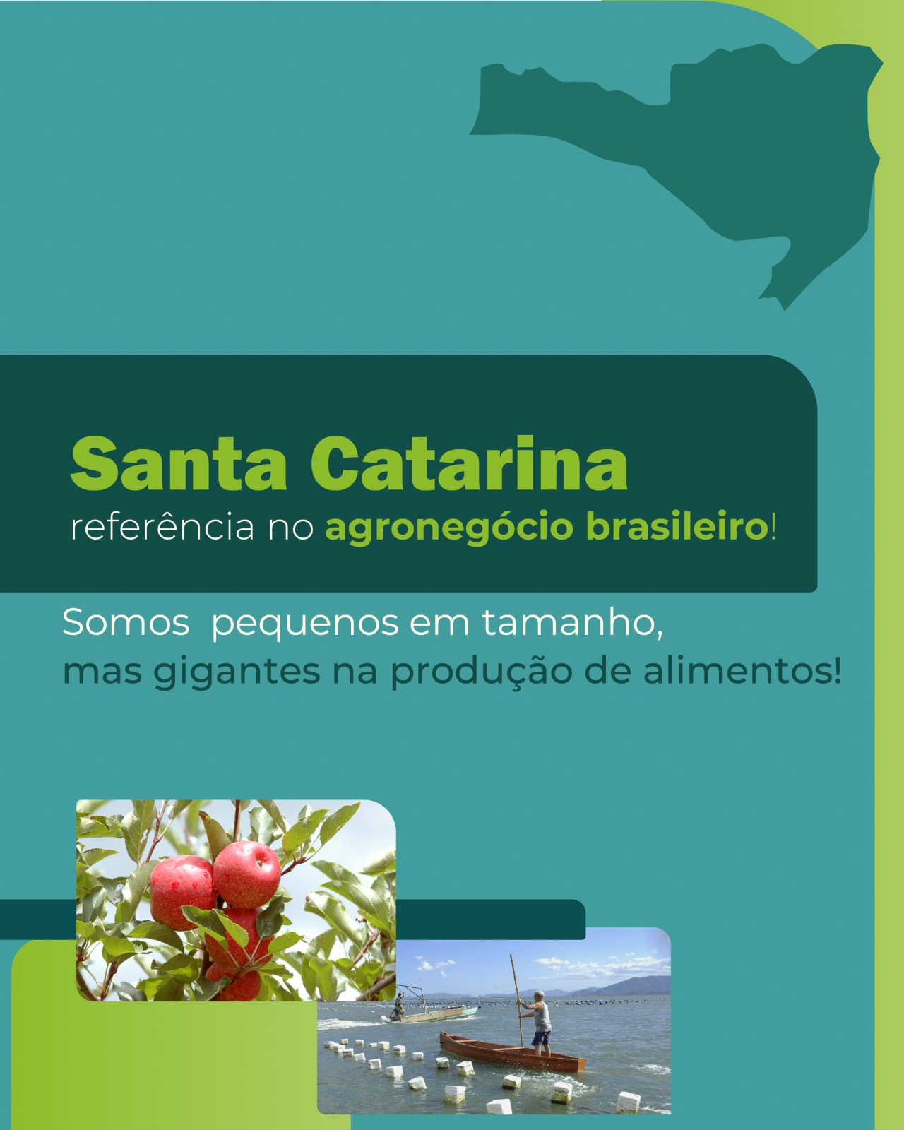Santa Catarina: pequena no mapa, gigante no agro!
