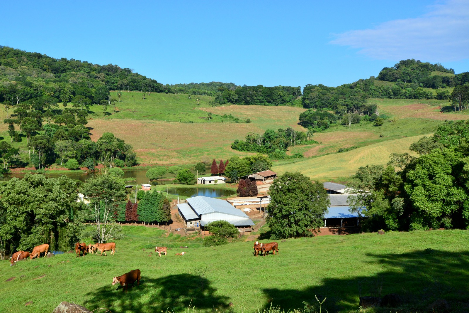 Projeto SC Rural 2 é enviado ao Senado e entra na última fase para ser implantado