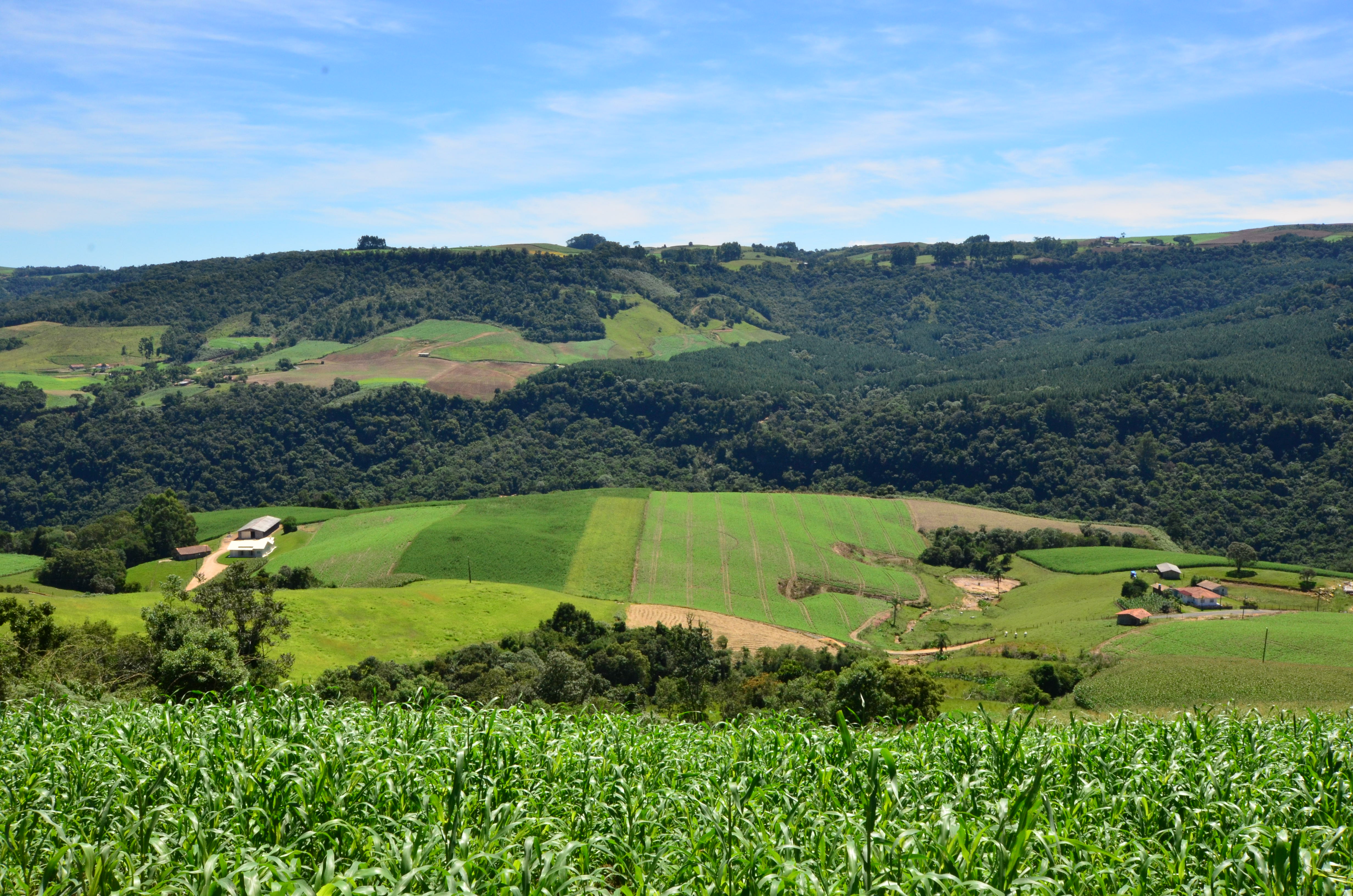 Coopera Agro SC é aprovado na Alesc e marca fortalecimento das cooperativas, agroindústrias e mais competitividade no setor