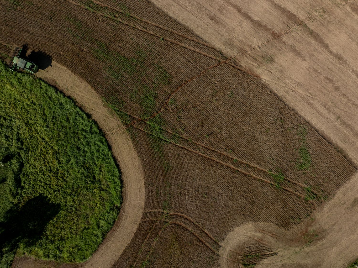 Valor de Produção Agropecuária catarinense cresce 15% e atinge R$ 74,9 bilhões em 2025